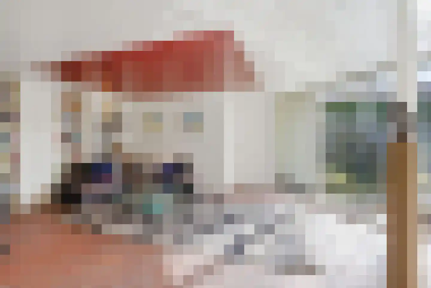 Thorbeckestraat 3 Didam thumbnail 35