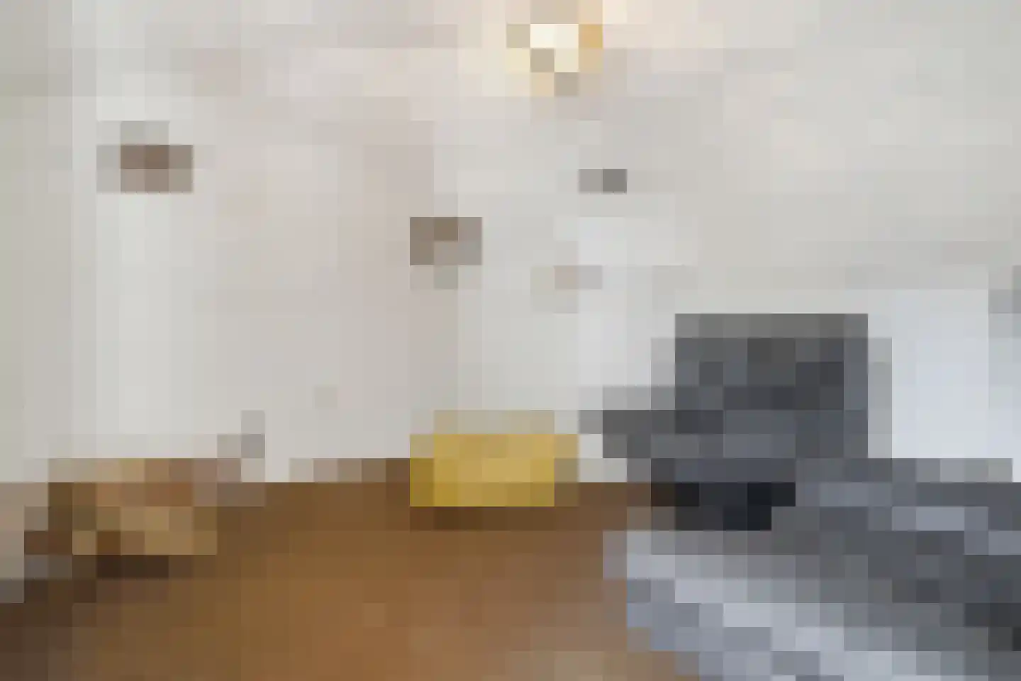 Thorbeckestraat 3 Didam thumbnail 45