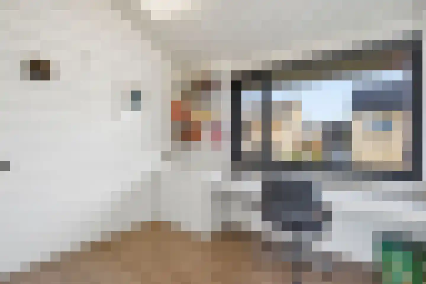 Thorbeckestraat 3 Didam thumbnail 48