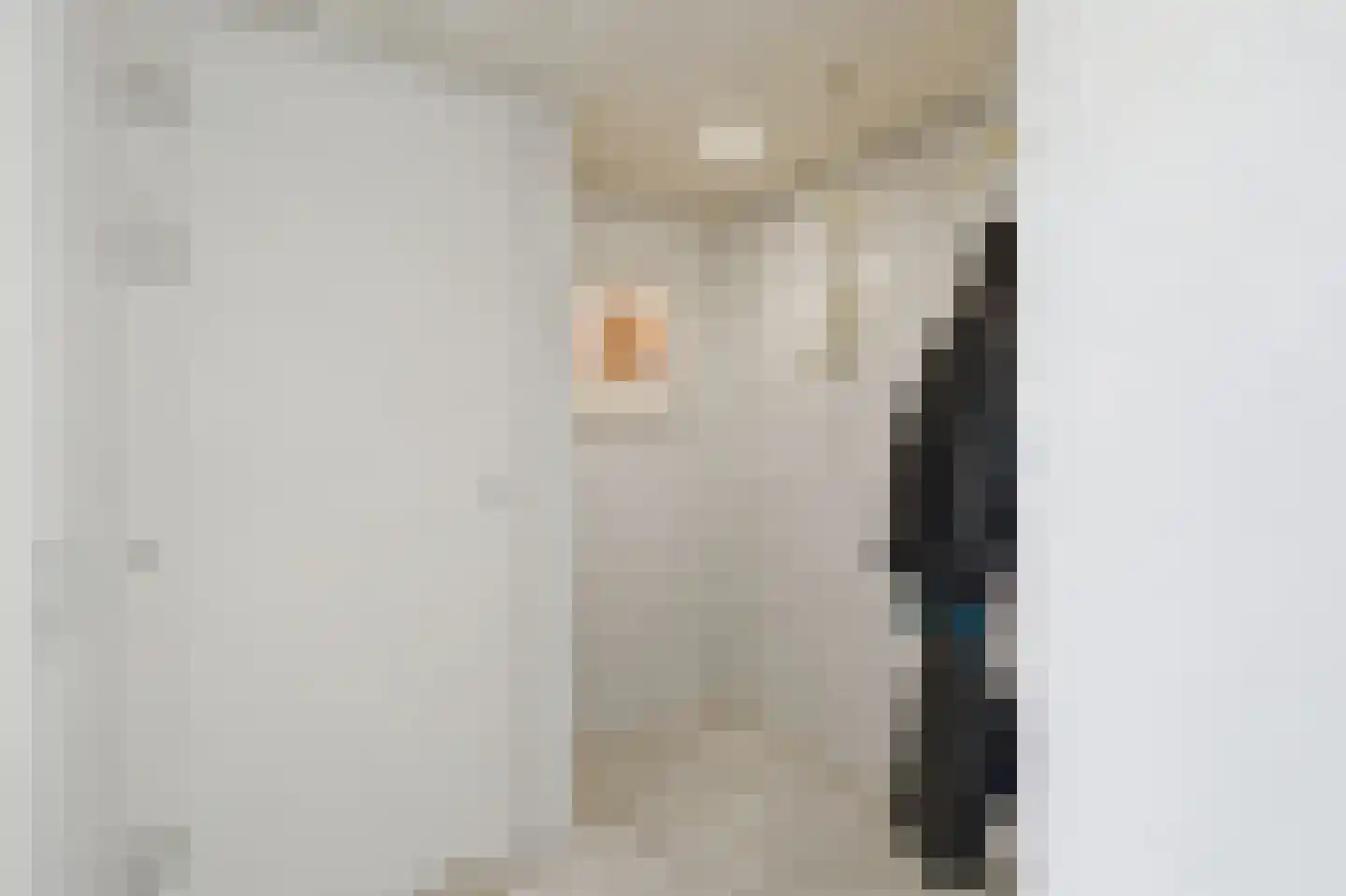 Thorbeckestraat 3 Didam thumbnail 5