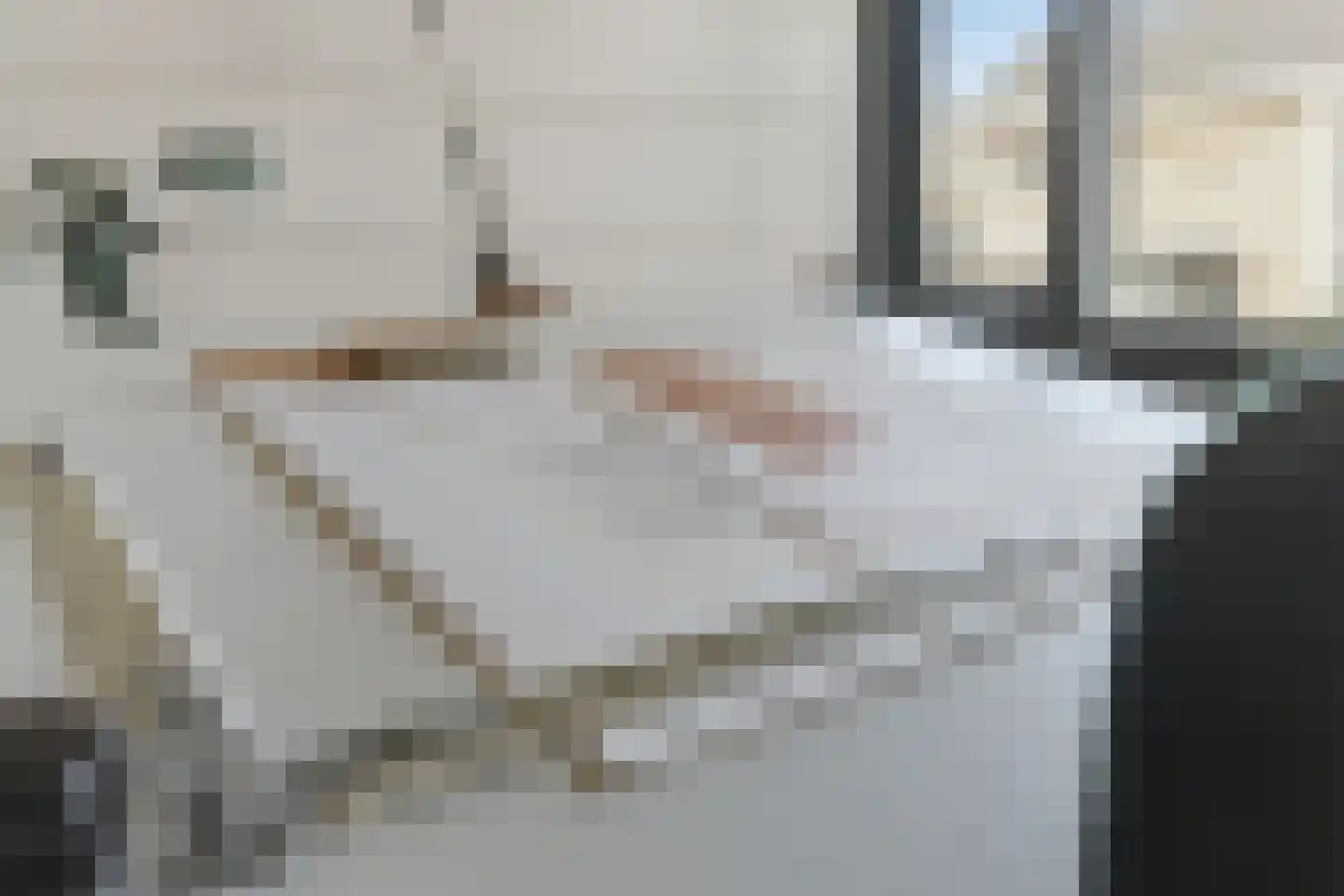 Thorbeckestraat 3 Didam thumbnail 52