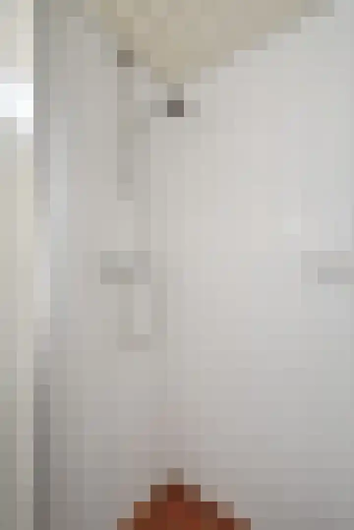 Thorbeckestraat 3 Didam thumbnail 57