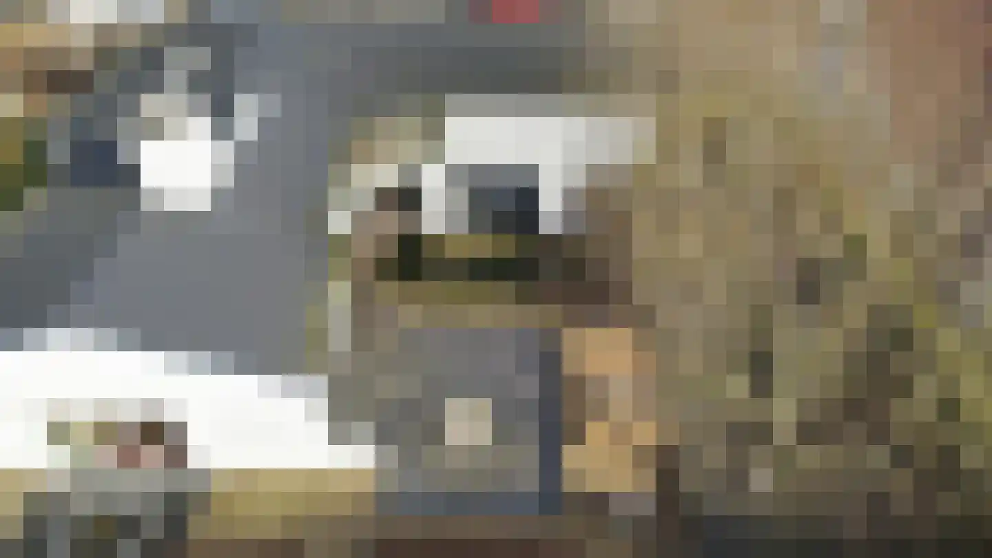 Thorbeckestraat 3 Didam thumbnail 58