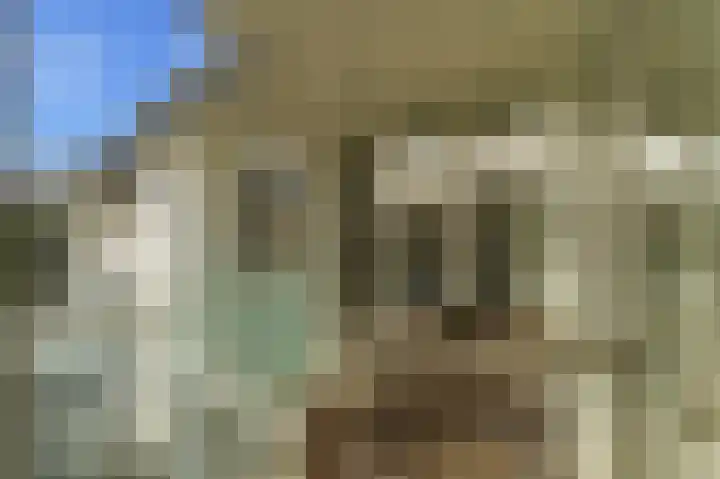 Thorbeckestraat 3 Didam thumbnail 59