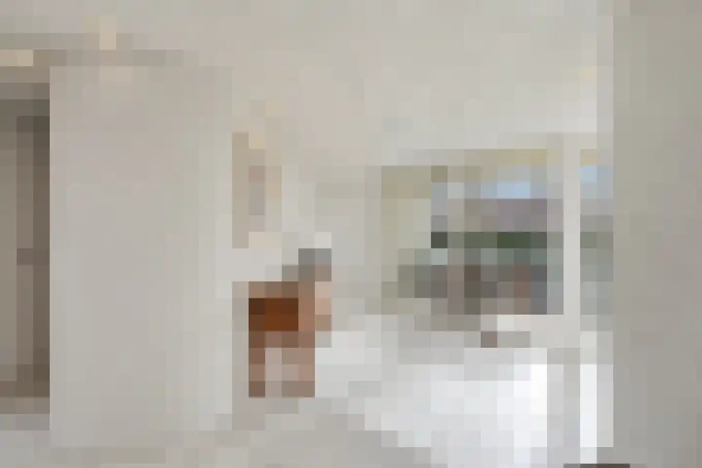Thorbeckestraat 3 Didam thumbnail 6