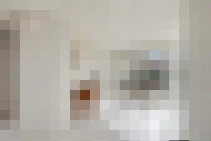 Thorbeckestraat 3 Didam thumbnail 6