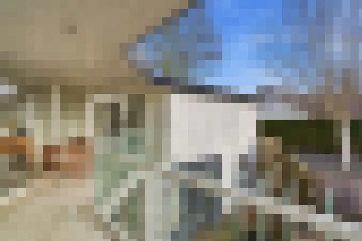 Thorbeckestraat 3 Didam thumbnail 60