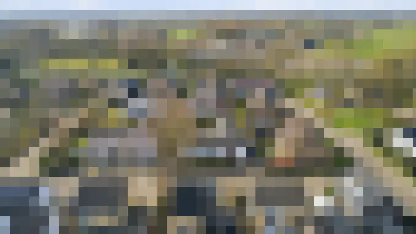Thorbeckestraat 3 Didam thumbnail 63