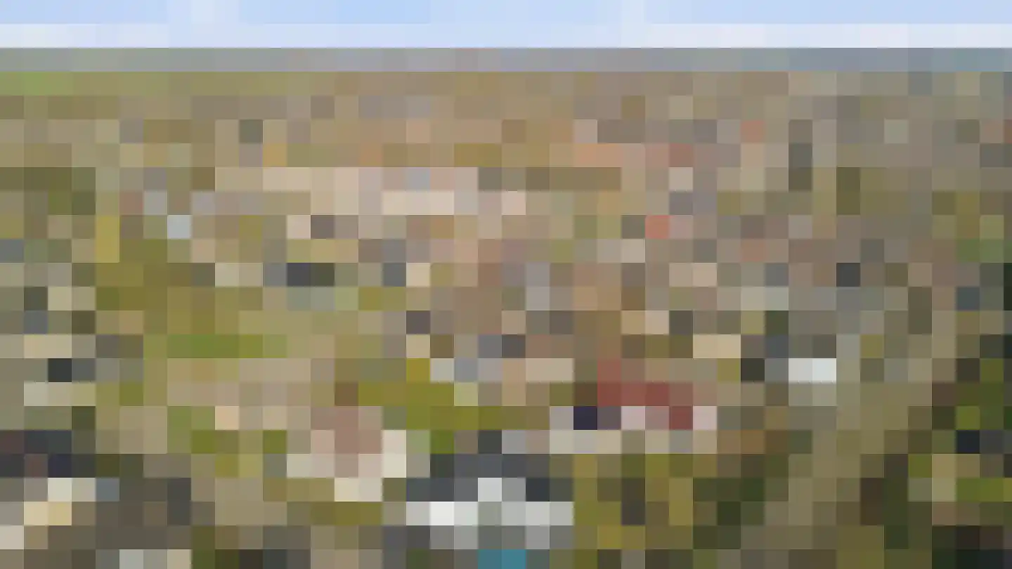 Thorbeckestraat 3 Didam thumbnail 64
