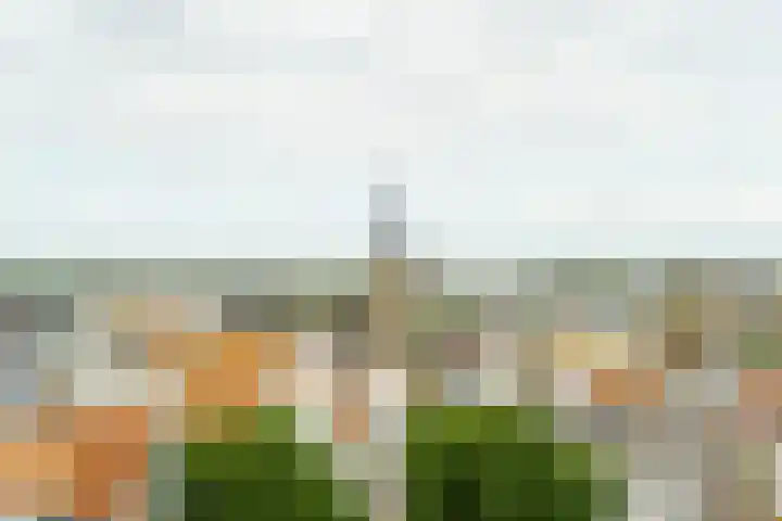 Thorbeckestraat 3 F 11 Zandvoort thumbnail 19