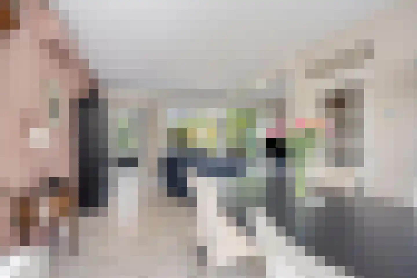 Thorbeckestraat 3 Strijen thumbnail 11