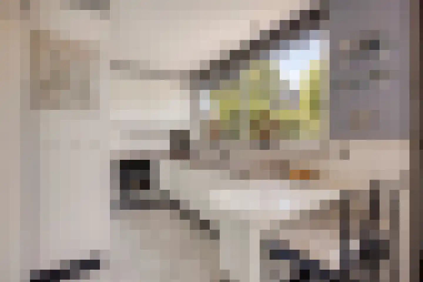 Thorbeckestraat 3 Strijen thumbnail 14