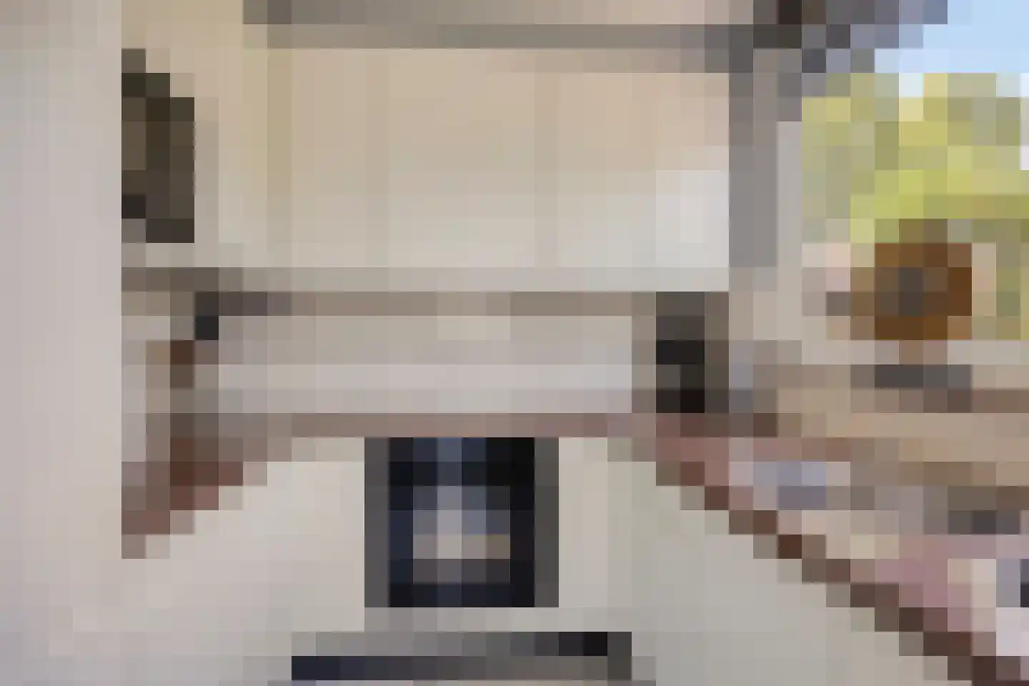 Thorbeckestraat 3 Strijen thumbnail 15