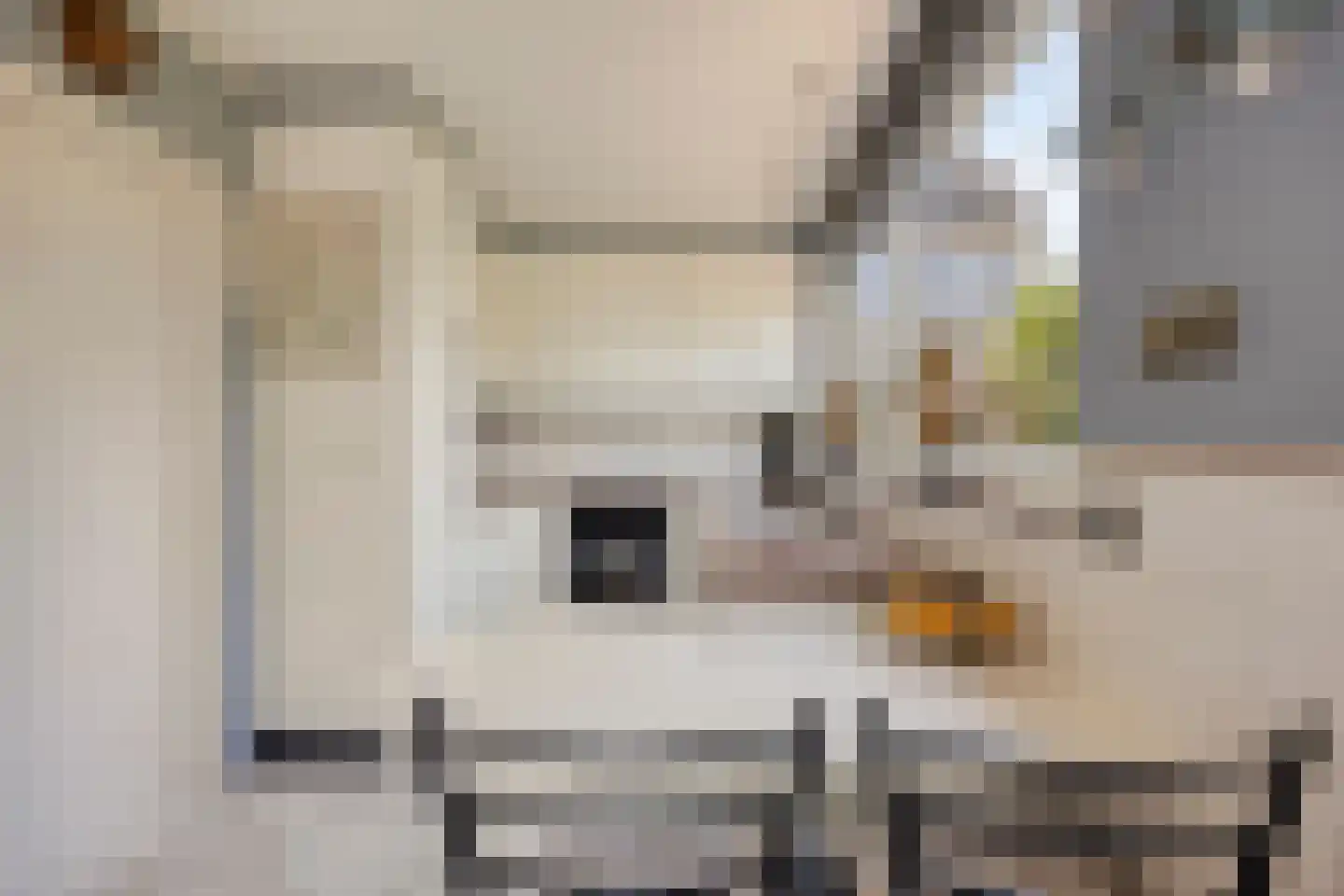 Thorbeckestraat 3 Strijen thumbnail 16