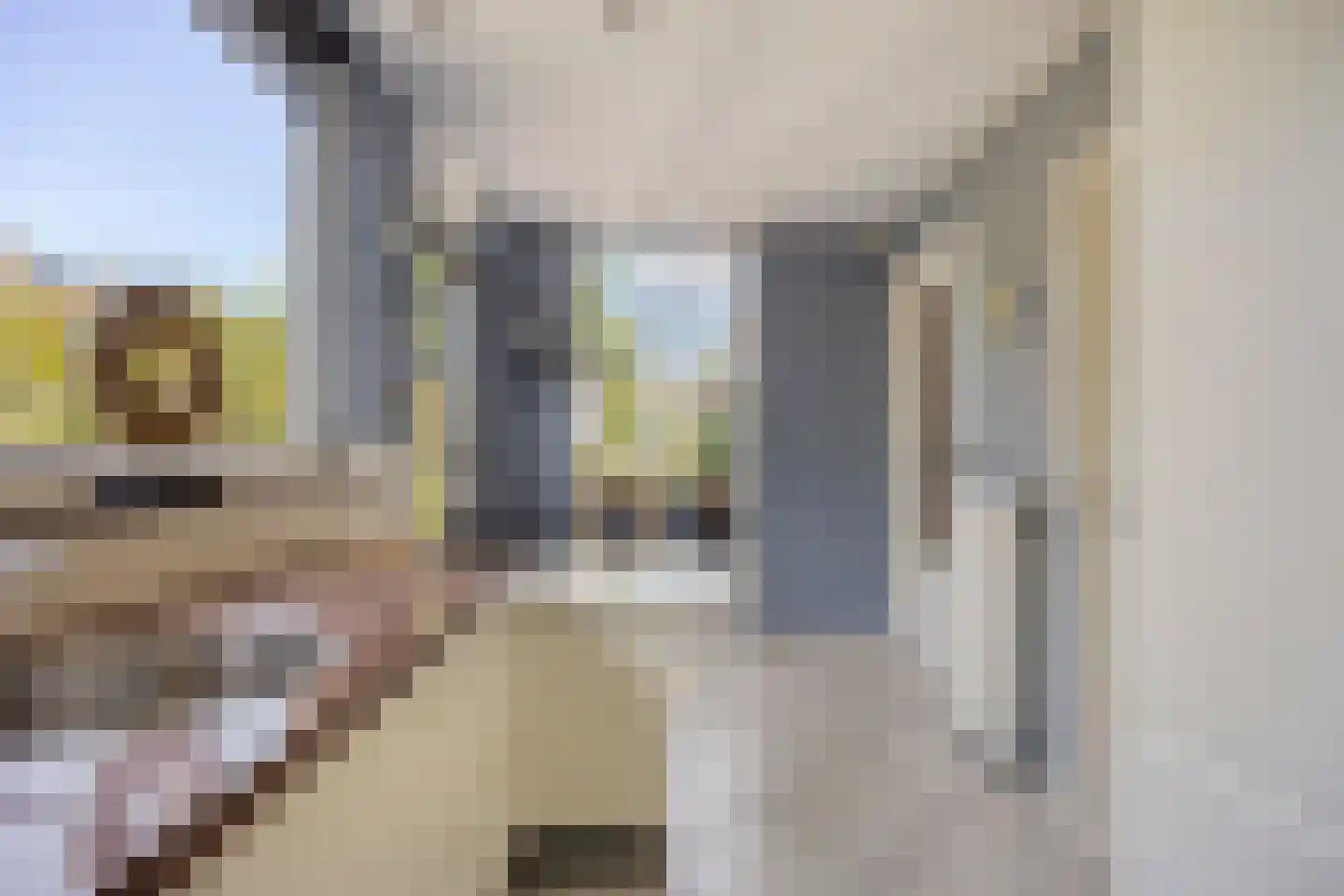 Thorbeckestraat 3 Strijen thumbnail 17