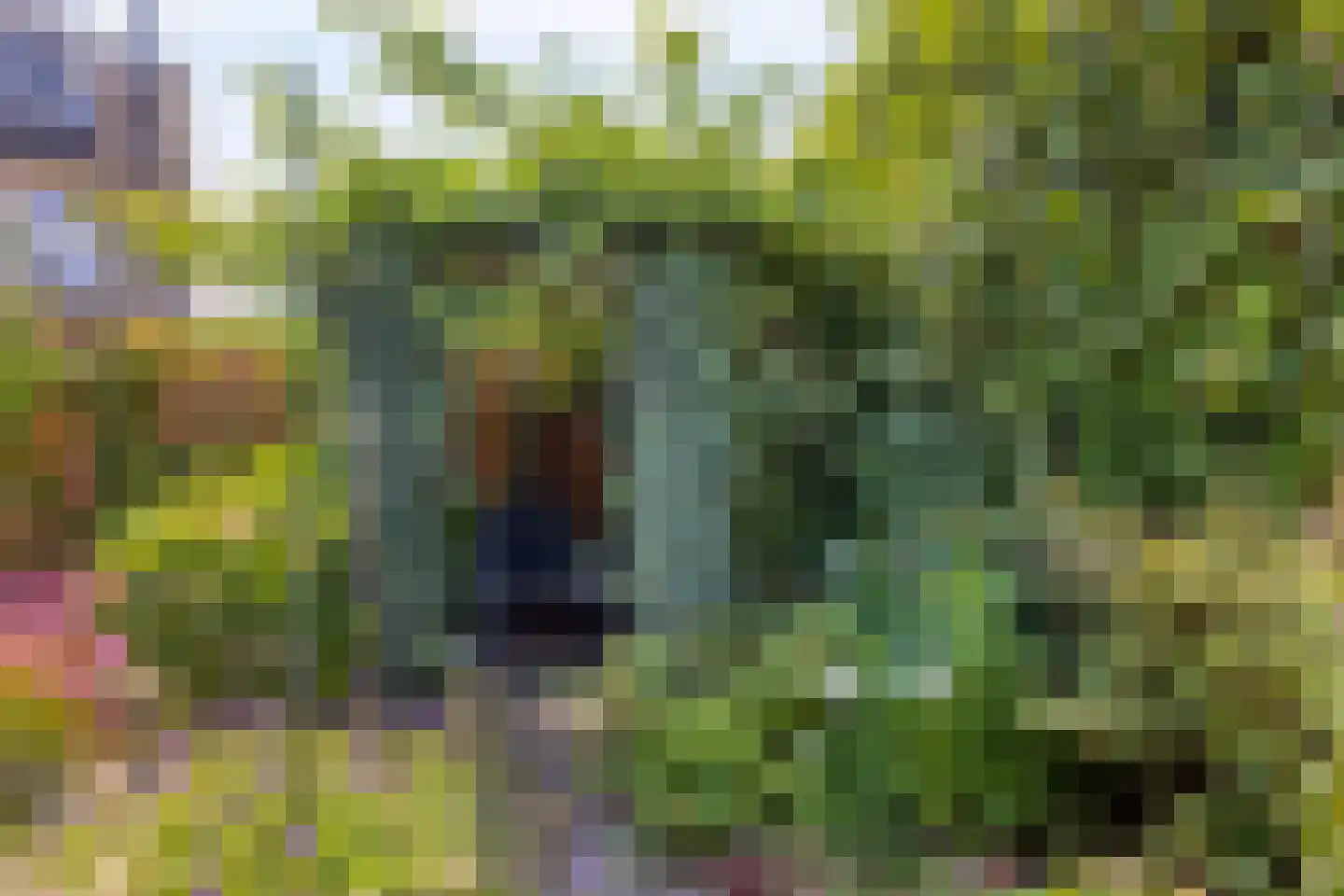 Thorbeckestraat 3 Strijen thumbnail 34
