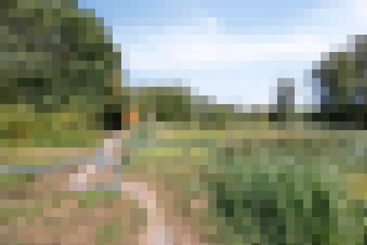 Thorbeckestraat 3 Strijen thumbnail 37