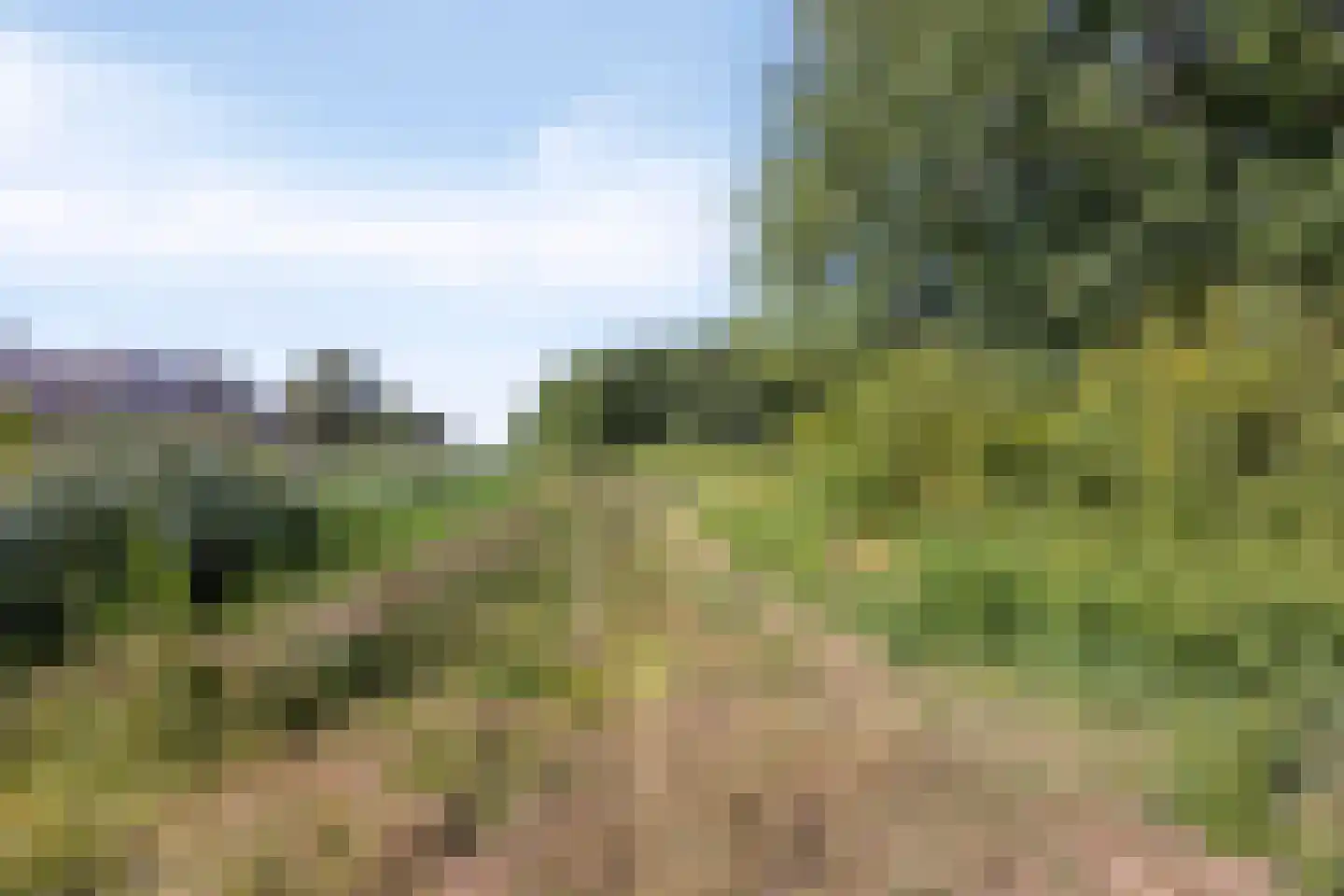 Thorbeckestraat 3 Strijen thumbnail 38