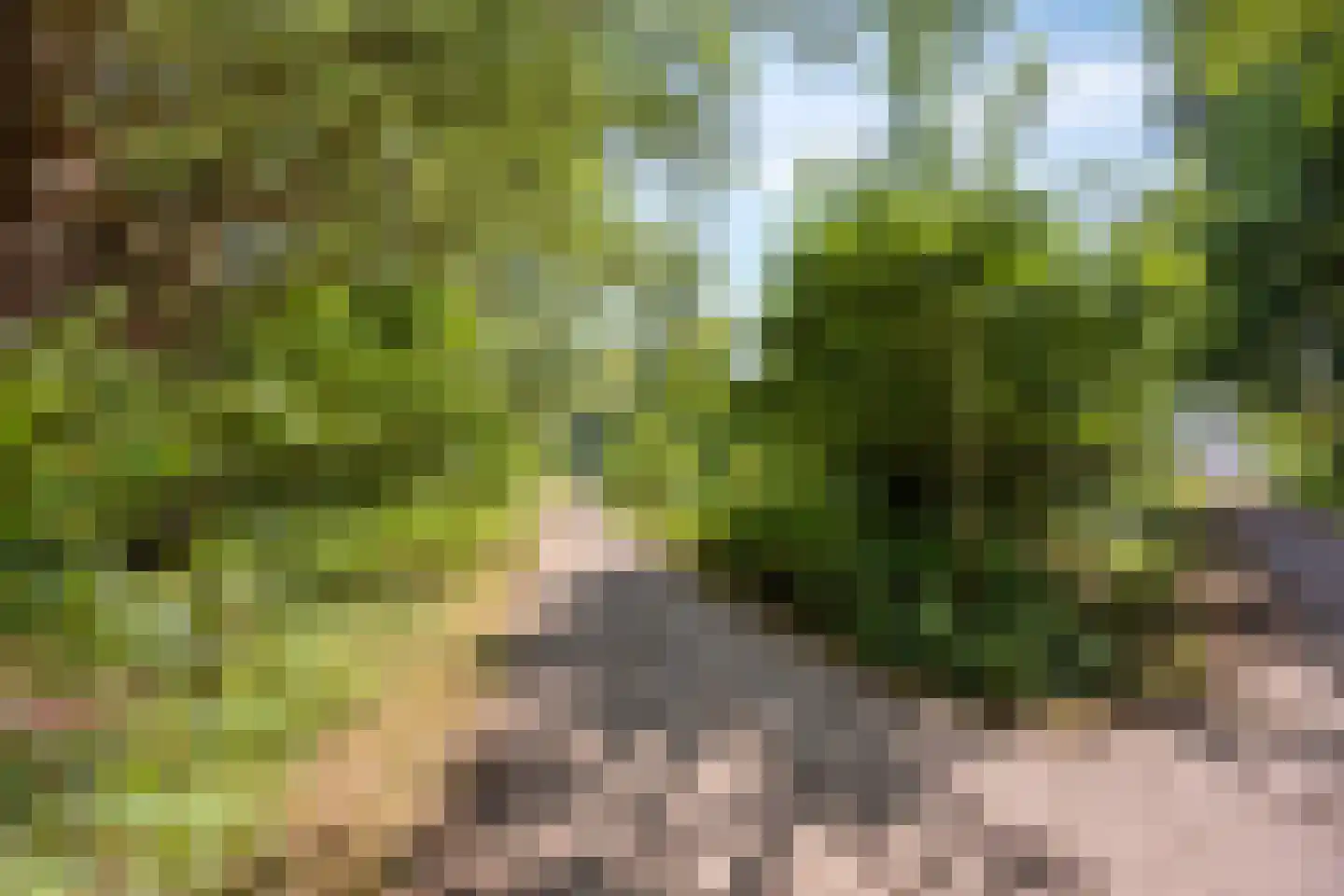 Thorbeckestraat 3 Strijen thumbnail 39