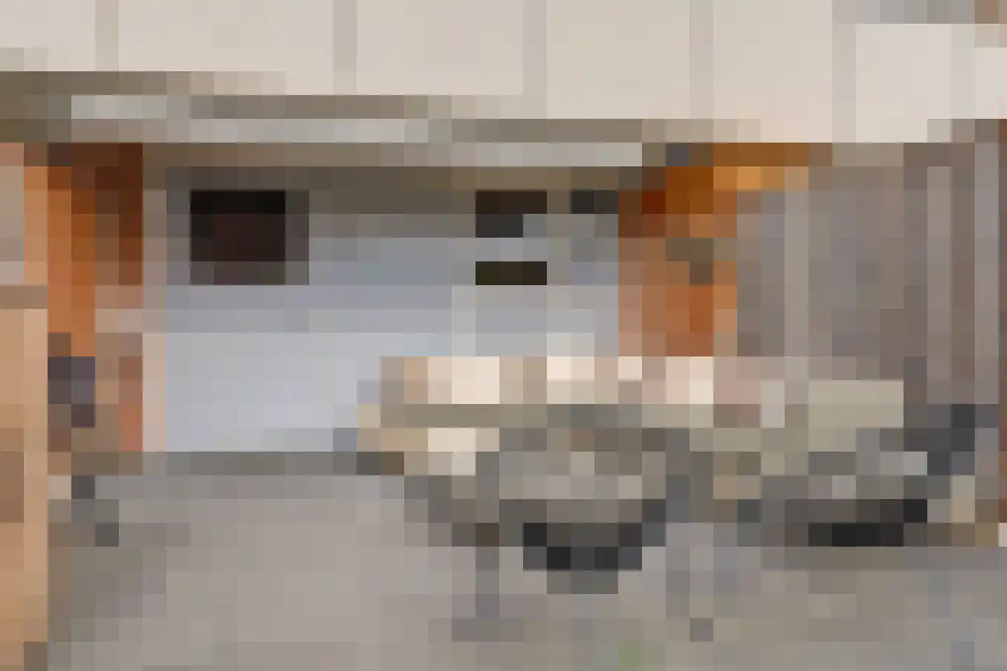 Thorbeckestraat 30 Katwijk thumbnail 38