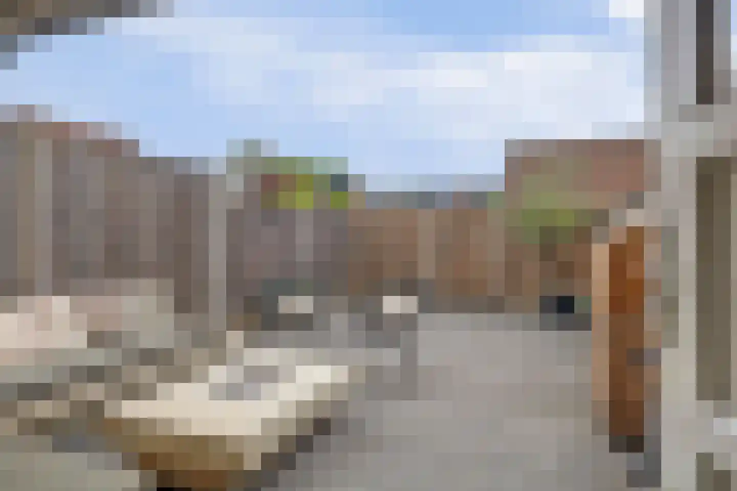 Thorbeckestraat 30 Katwijk thumbnail 7