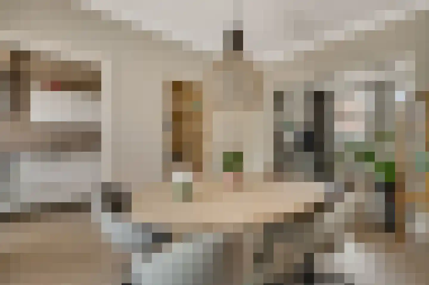 Thorbeckestraat 30 Roermond thumbnail 4