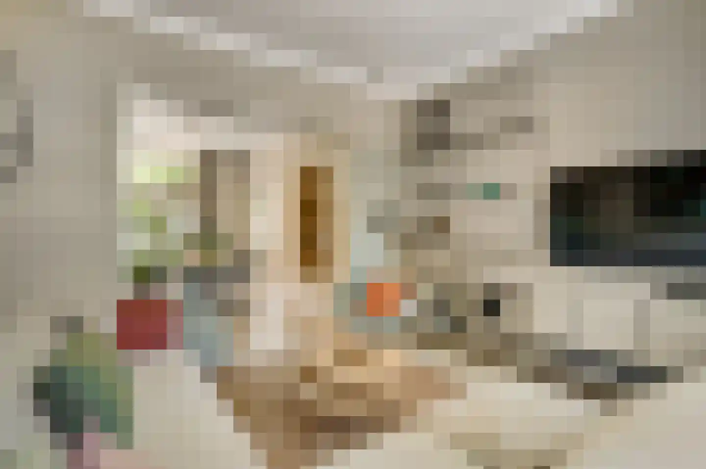 Thorbeckestraat 30 Roermond thumbnail 5
