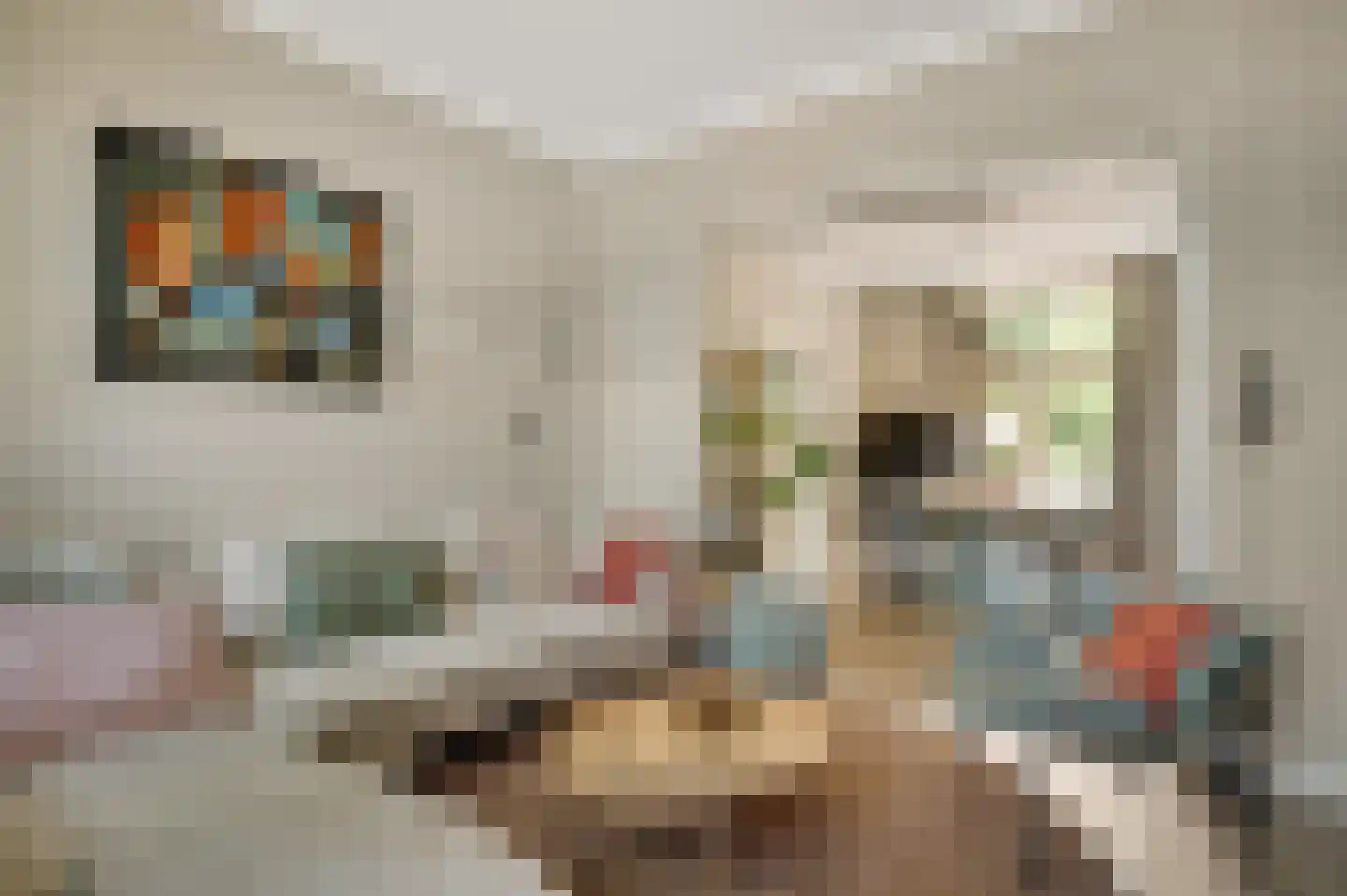 Thorbeckestraat 30 Roermond thumbnail 6