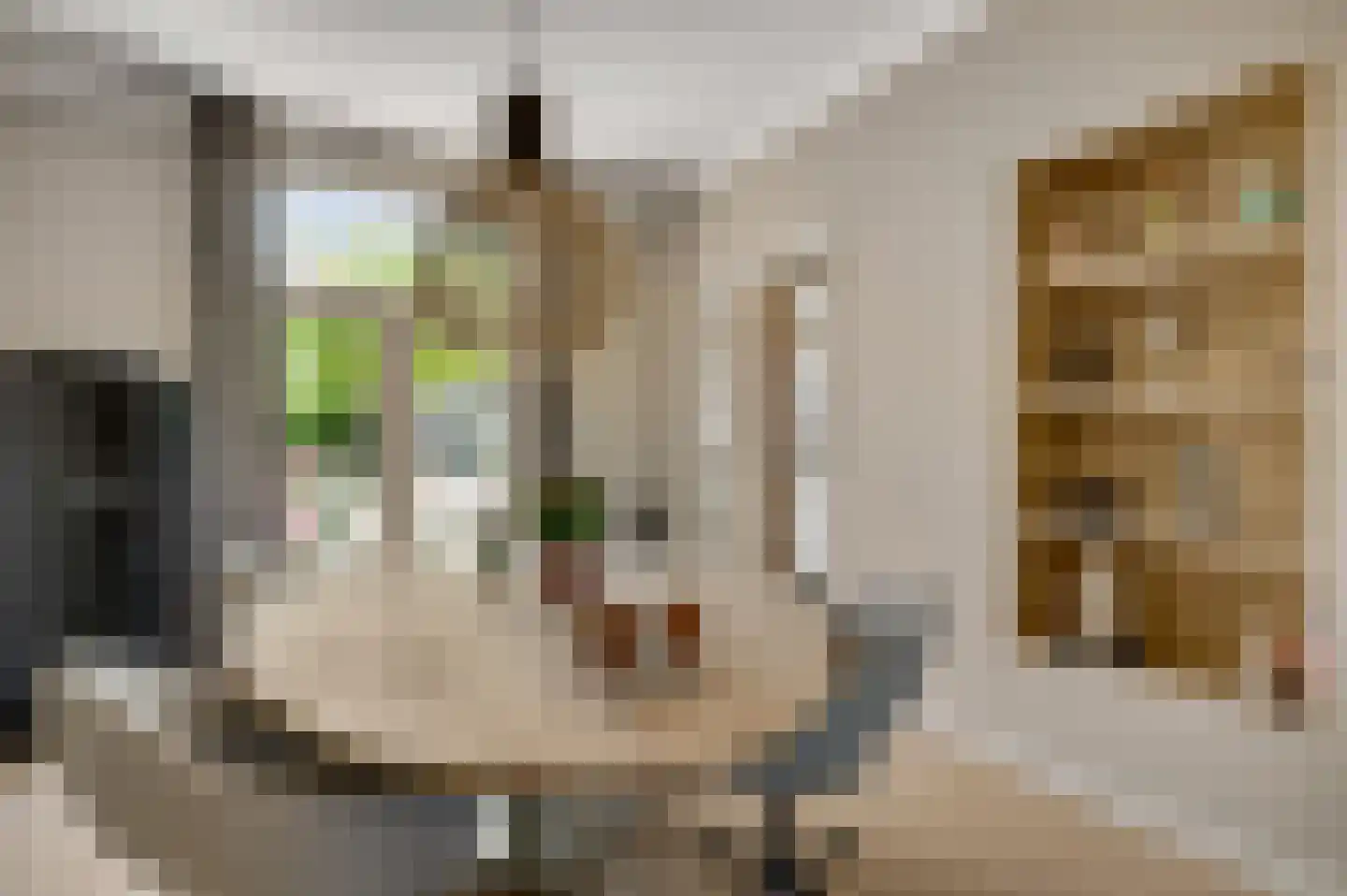 Thorbeckestraat 30 Roermond thumbnail 8