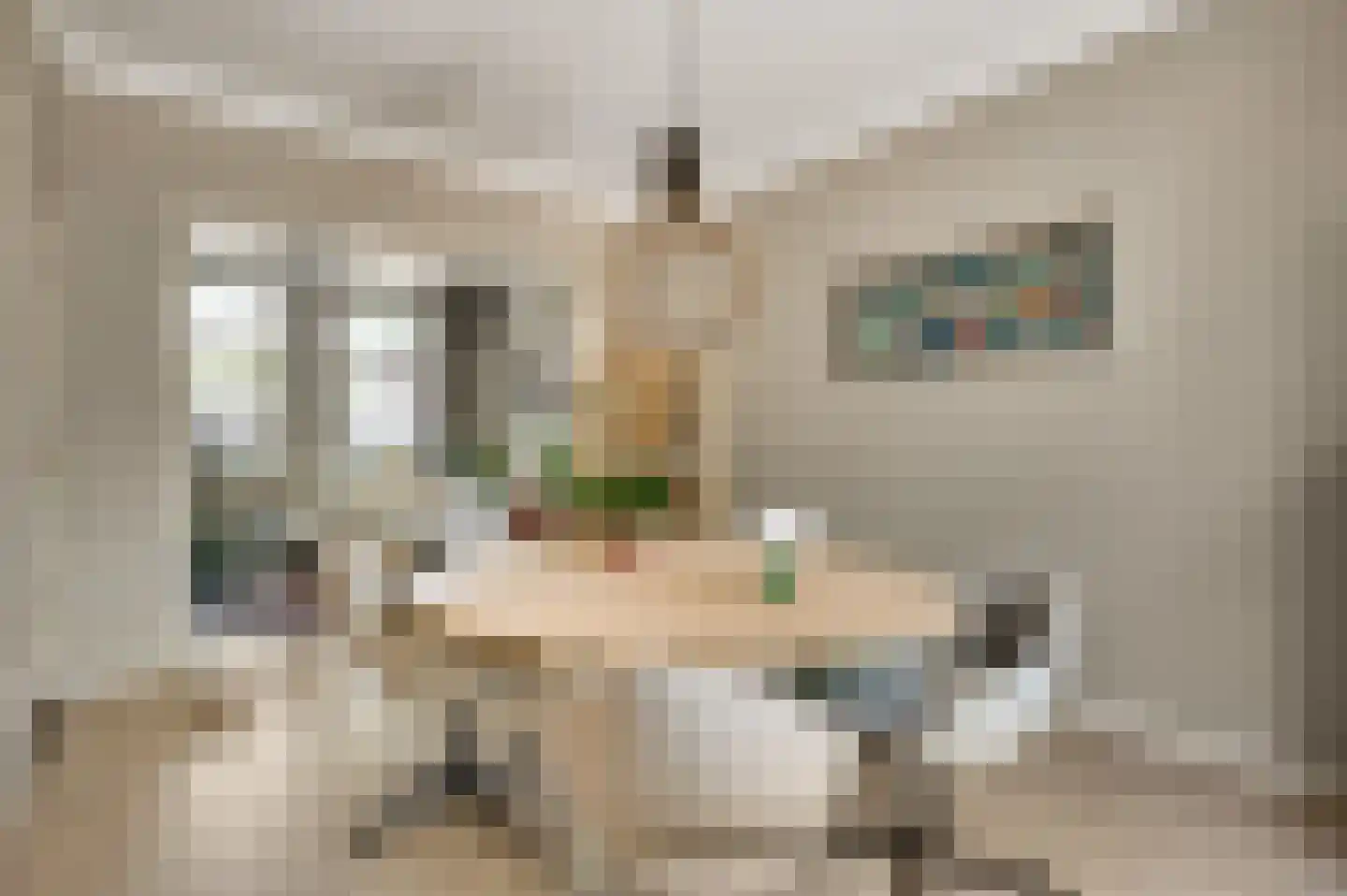 Thorbeckestraat 30 Roermond thumbnail 9