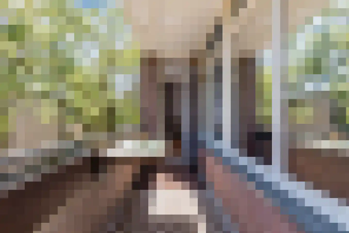 Thorbeckestraat 308 Wageningen thumbnail 11
