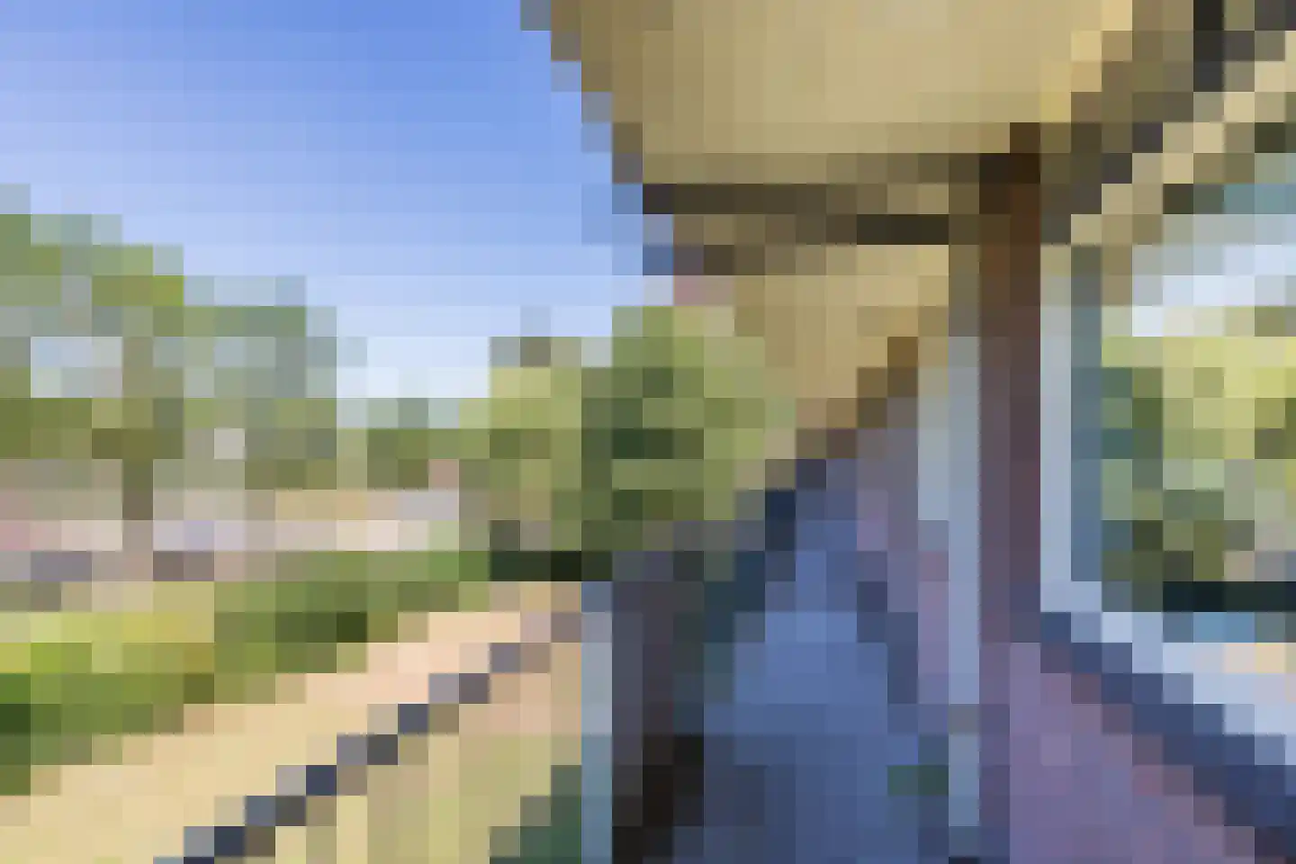 Thorbeckestraat 308 Wageningen thumbnail 34