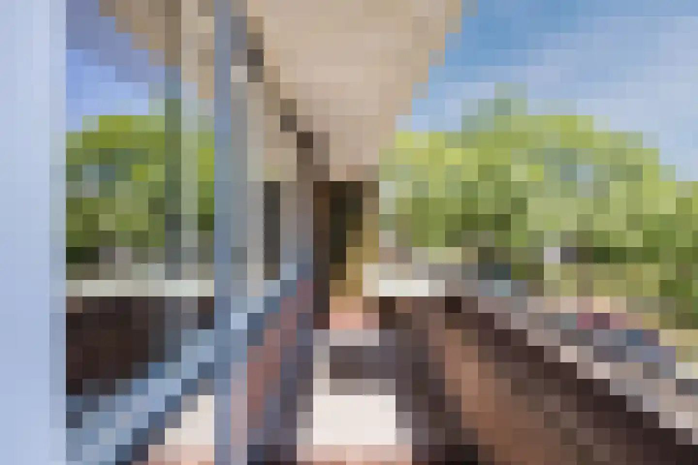 Thorbeckestraat 308 Wageningen thumbnail 5