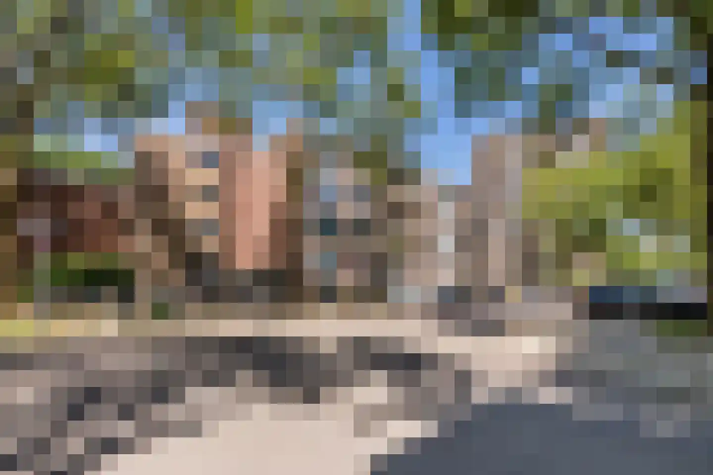 Thorbeckestraat 308 Wageningen thumbnail 6