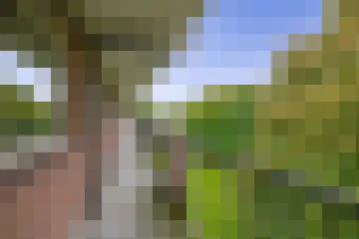 Thorbeckestraat 310 Wageningen thumbnail 14