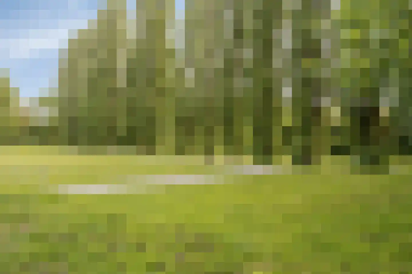 Thorbeckestraat 34 3 Arnhem thumbnail 43