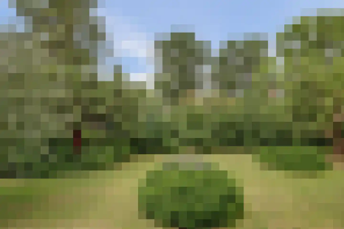 Thorbeckestraat 34 Katwijk thumbnail 16