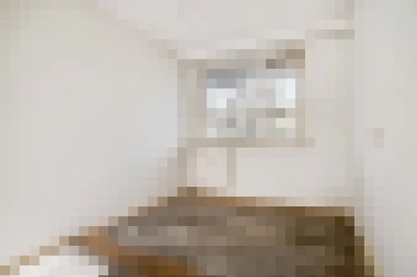 Thorbeckestraat 34 Wageningen thumbnail 8