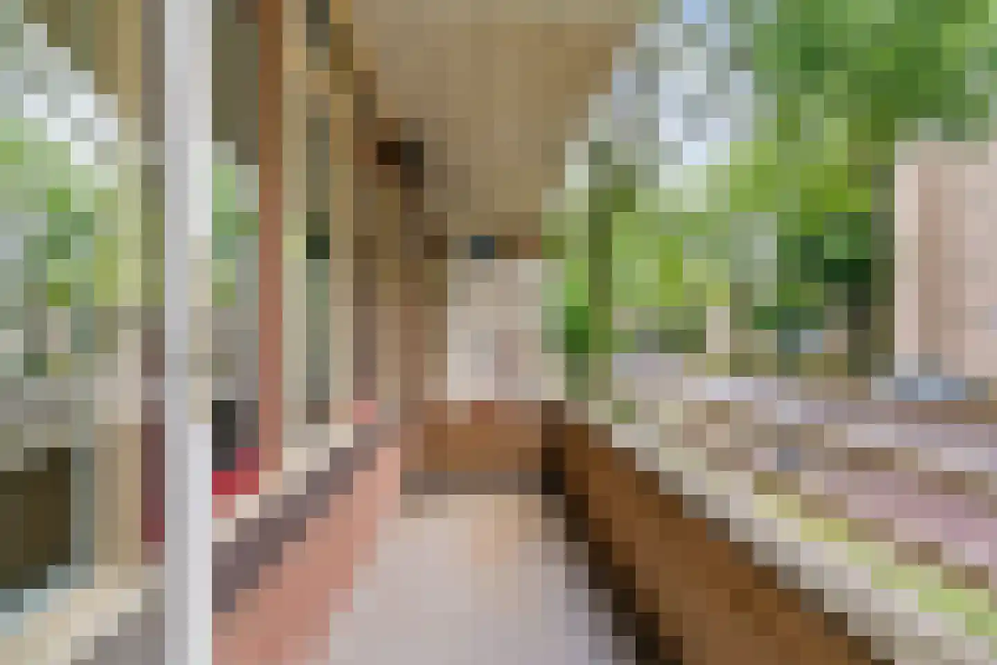 Thorbeckestraat 344 Wageningen thumbnail 26