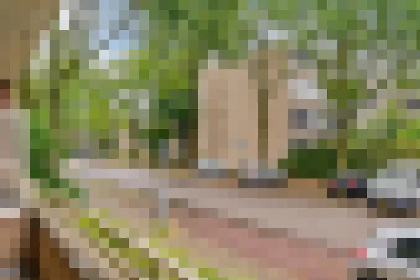 Thorbeckestraat 344 Wageningen thumbnail 29