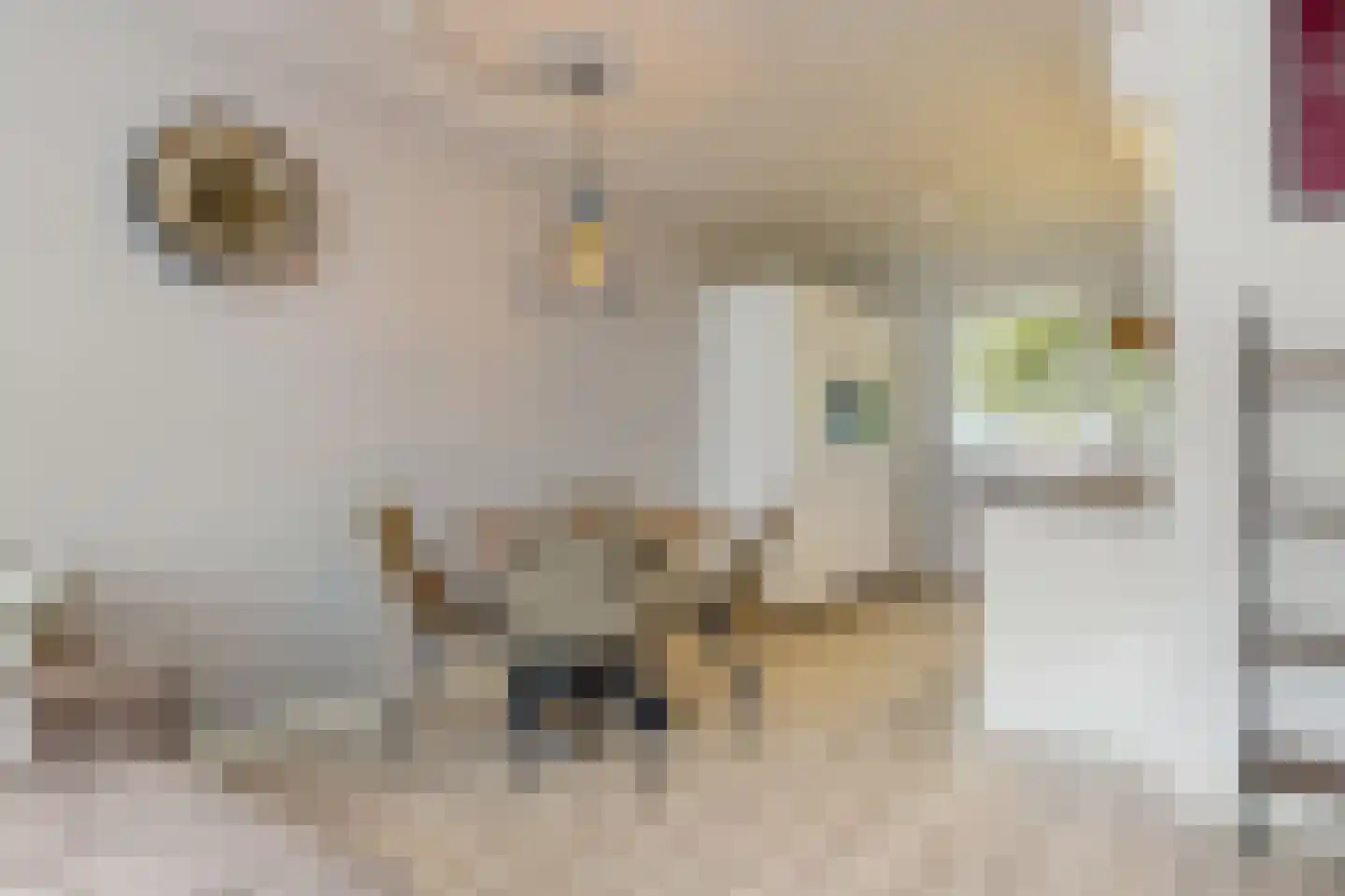 Thorbeckestraat 344 Wageningen thumbnail 6