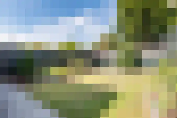Thorbeckestraat 35 Silvolde thumbnail 33
