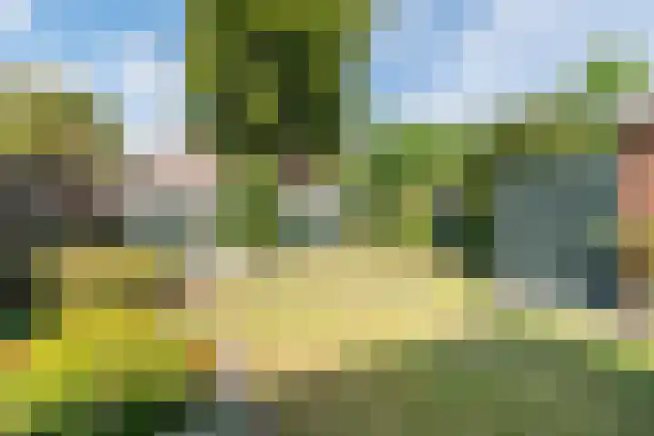 Thorbeckestraat 35 Silvolde thumbnail 35