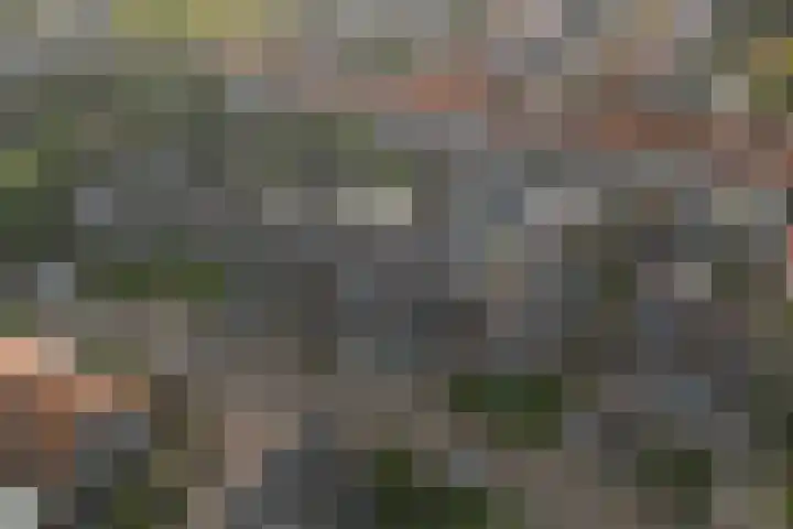 Thorbeckestraat 36 Apeldoorn thumbnail 33