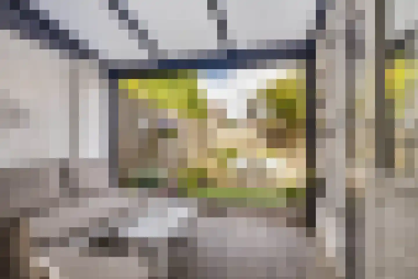 Thorbeckestraat 38 Sittard thumbnail 22