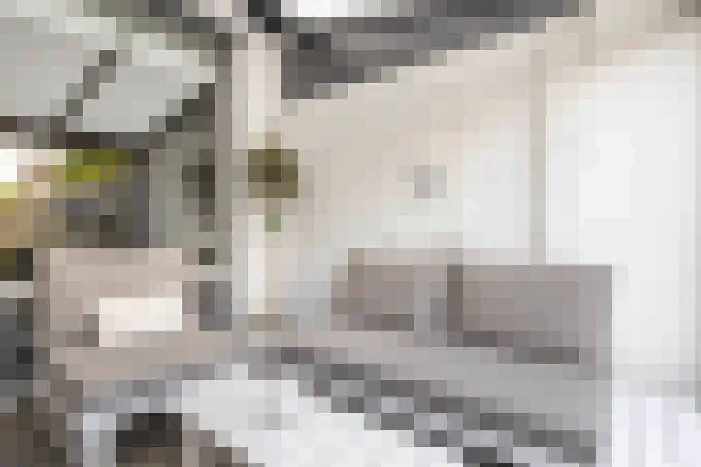 Thorbeckestraat 38 Sittard thumbnail 23