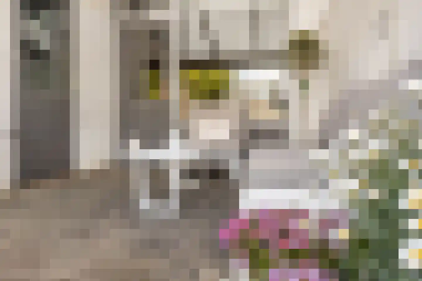 Thorbeckestraat 38 Sittard thumbnail 24