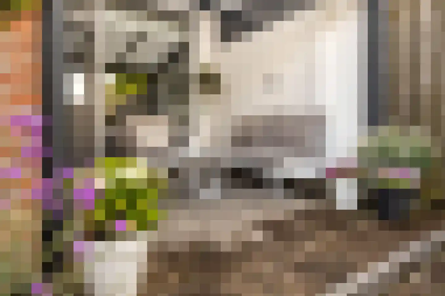 Thorbeckestraat 38 Sittard thumbnail 25