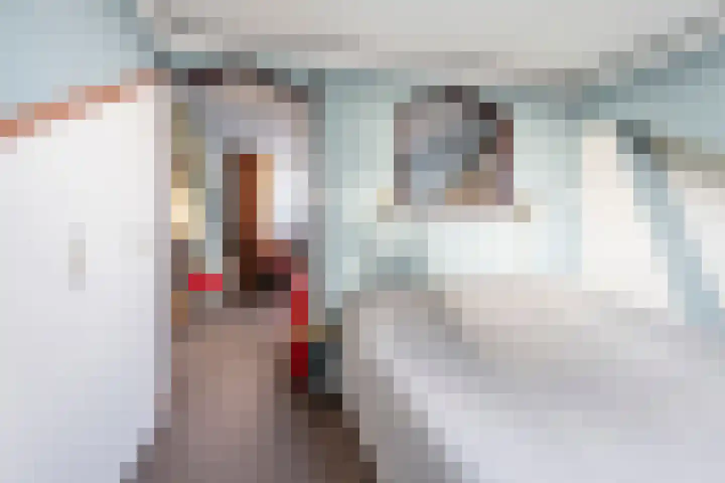Thorbeckestraat 38 Zandvoort thumbnail 16
