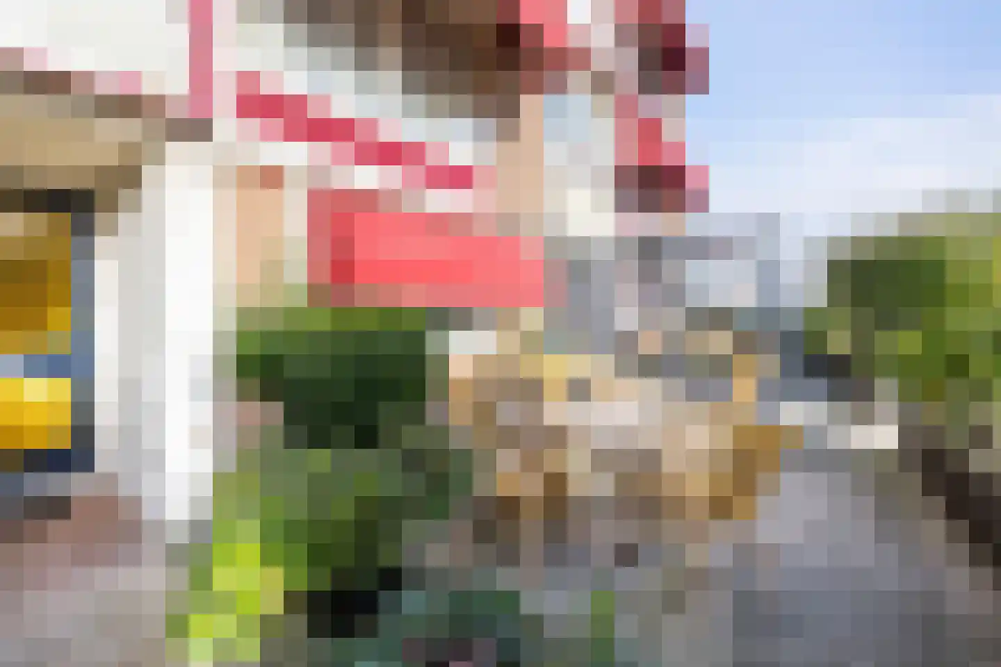 Thorbeckestraat 38 Zandvoort thumbnail 9